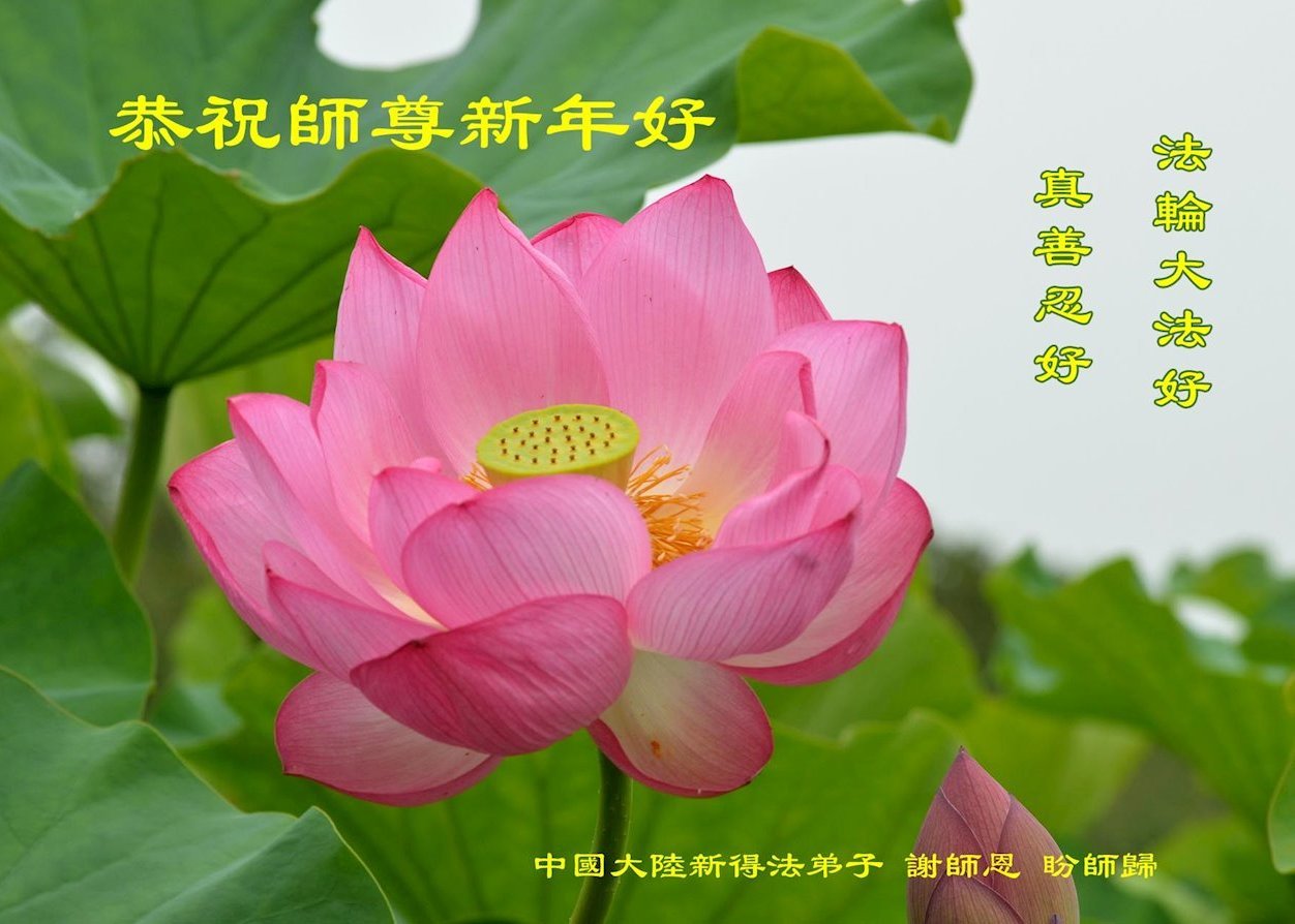 Image for article Нові практикувальники Фалунь Дафа з різних районів Китаю вітають шановного Вчителя Лі Хунчжи з Новим роком