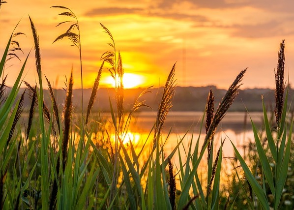 Image for article [Конференція Фа практикувальників Китаю] Підтверджувати Фа та допомагати Вчителю в порятунку людей у будь-якому місці, де б я не була