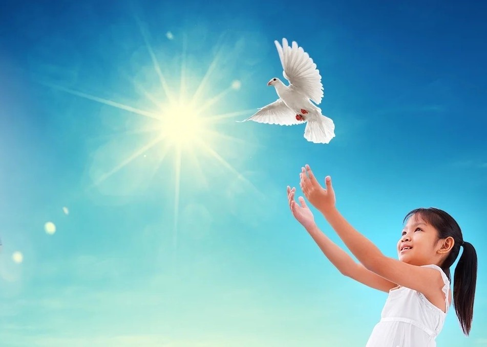 Image for article Коментар 9. Про злочинну сутність КПК (Аудіокнига «Дев'ять коментарів»)