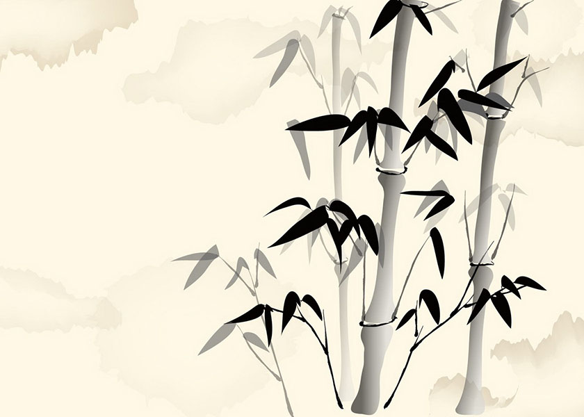 Image for article ​[Конференція Фа практикувальників Китаю] Лікар традиційної китайської медицини вирішив стати більш старанним у вдосконаленні за Дафа