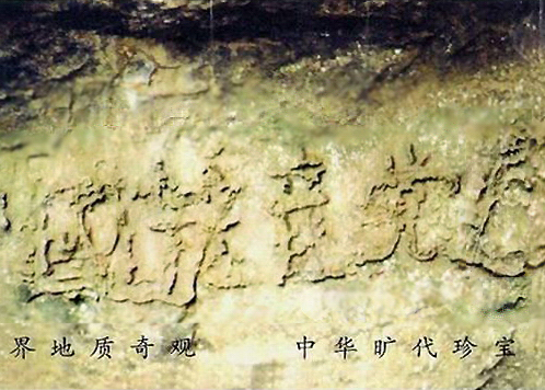 Image for article Подкаст: Дарвін і прогалини в теорії еволюції (частина 3)