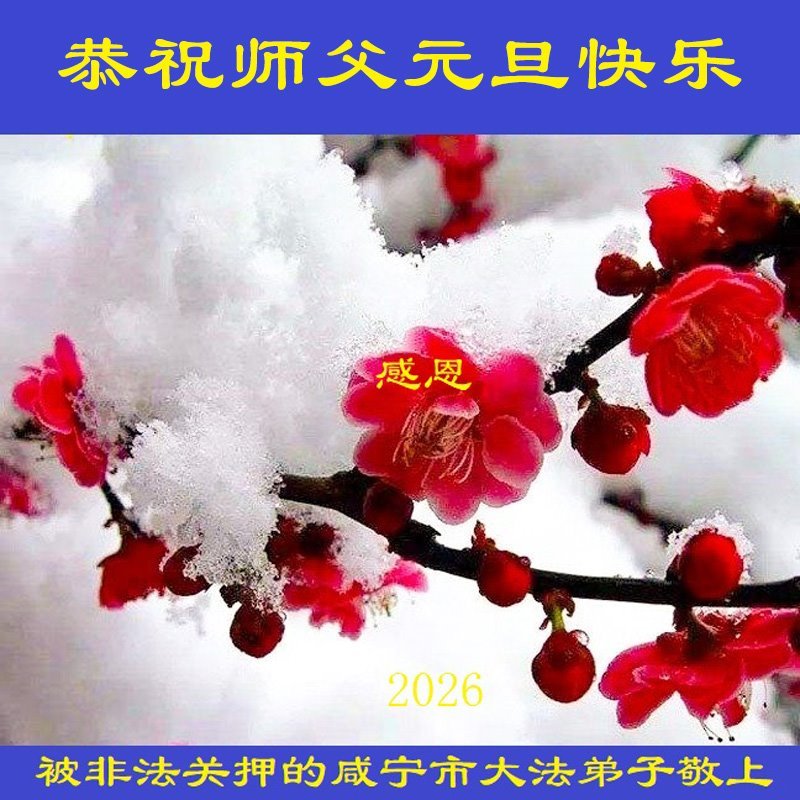 Image for article Високі мури не можуть заслонити істинну віру. Практикувальники, незаконно ув’язнені в тюрмах за свої переконання, бажають шанованому Вчителю Лі Хунчжи щасливого Нового року