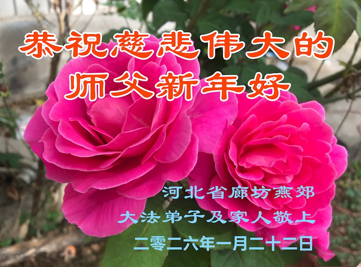 Image for article ​Практикувальники Фалунь Дафа з провінції Хебей бажають шановному Вчителю щасливого Нового року (105 привітань)