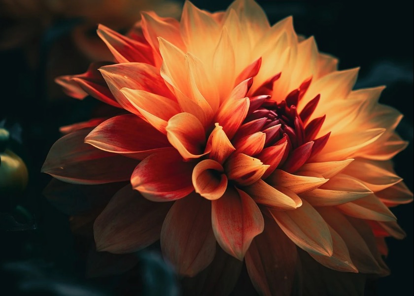 Image for article ​Божественні здібності учнів Фалунь Дафа