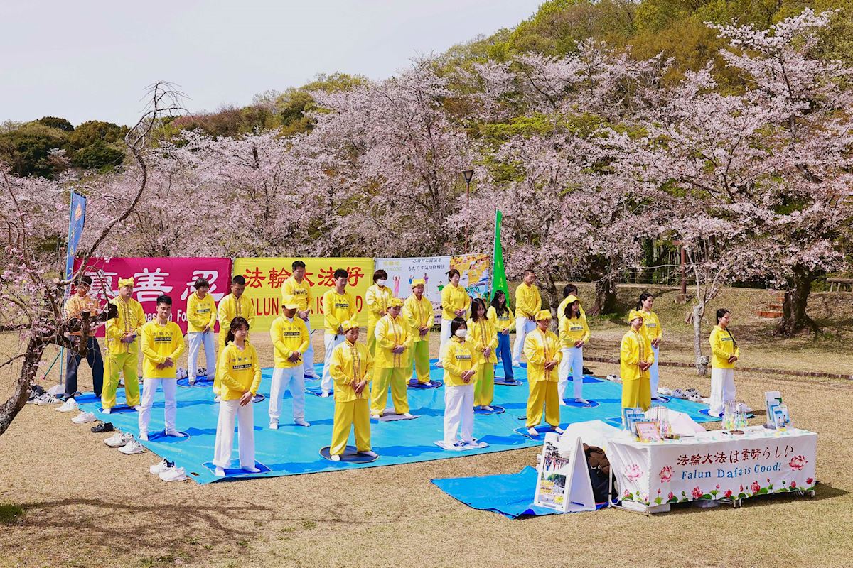 Image for article Місто Тойота, Японія. Знайомство з Фалунь Дафа під час Фестивалю цвітіння сакури