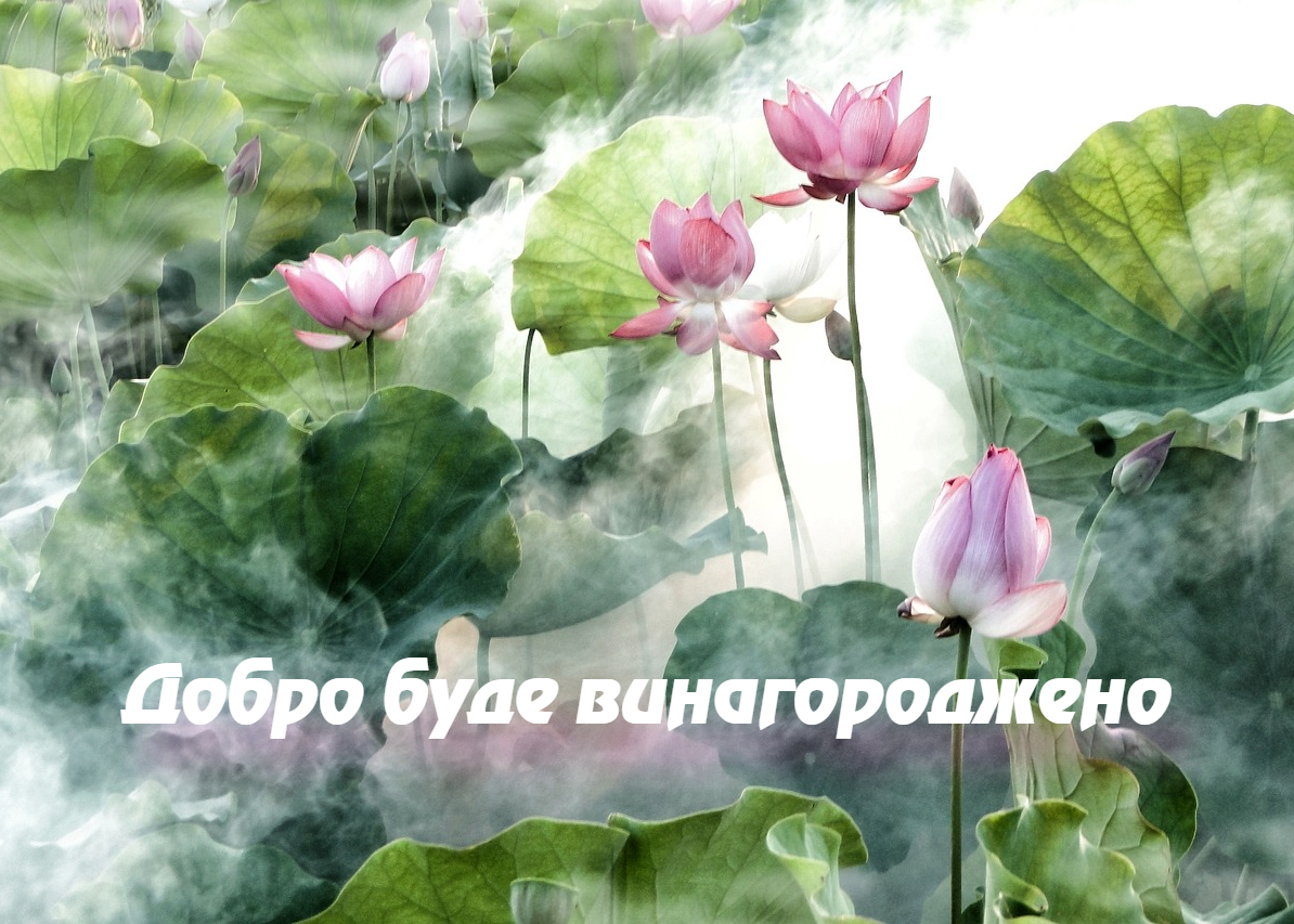 Image for article Чому важливо обстоювати загальнолюдські цінності