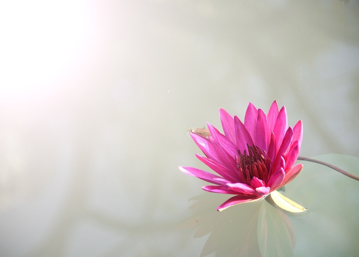 Image for article ​Розквіт та занепад освіти в Китаї