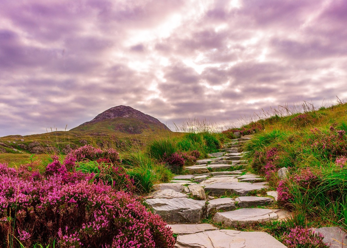 Image for article ​Шлях удосконалення нового практикувальника