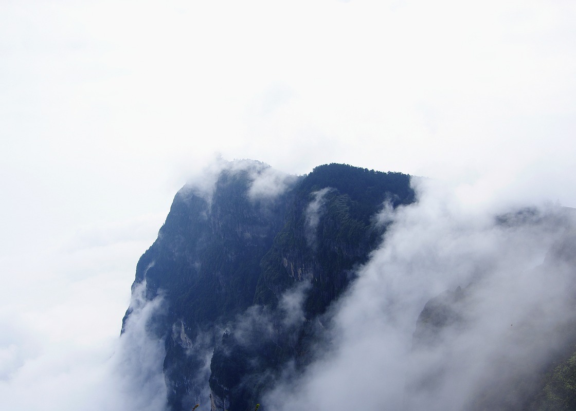 Image for article Традиційна китайська культура: «Люди гинуть за багатство, як птахи гинуть за їжу»