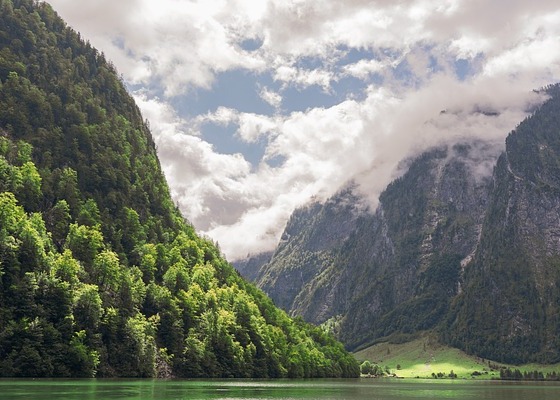 Image for article ​Божественне благословення. Від Джорджа Вашингтона до імператора У династії Хань